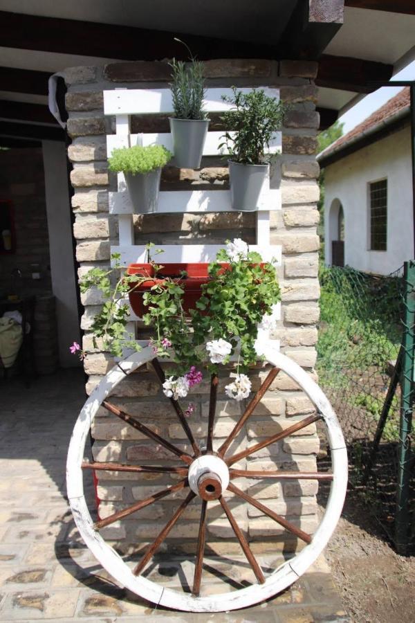 Palic Vila Masa Pr Emina Stipancevic Exterior photo